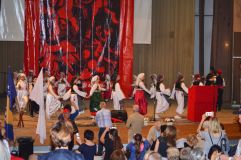 DSC_6764.jpg